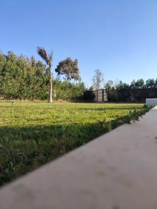 a path in a park with a tree and grass at Villa Casablanca in 6th Of October