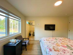 a bedroom with a bed and a tv and a window at Morning Dew105 in Hammonds Plains