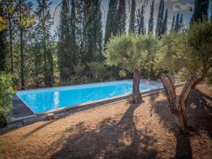 a pool in a yard with trees in the background at Le Mas dormant in Fayence