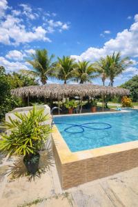 a swimming pool with a straw umbrella and palm trees at Chácara Sossego in Viçosa do Ceará