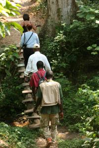 Hosté ubytování Mbali Mbali Gombe Lodge