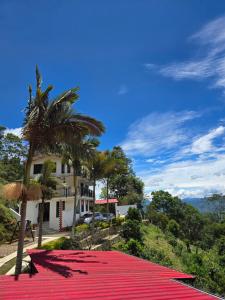 a red carpeted roof of a house with a palm tree at Finca La Tranquilidad in San Francisco