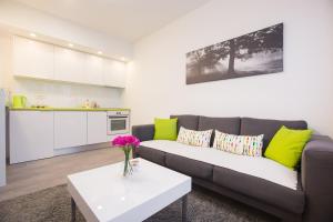 Kuchyň nebo kuchyňský kout v ubytování Friday Apartments