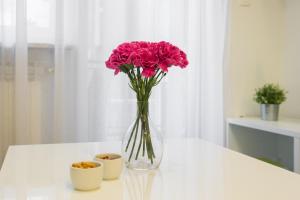 Fotografie z fotogalerie ubytování Friday Apartments v Záhřebu