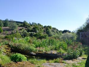 a garden with flowers and plants on a hill at The Old Cider Mill in Llanstephan
