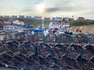 a pile of nets sitting on top of a harbor at Fairlaw Garden Cottage in Reston