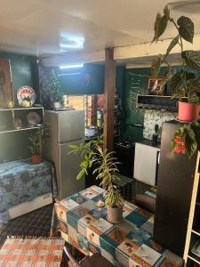 a kitchen with a table with plants on it at Chalet Avapeihi in Fitii