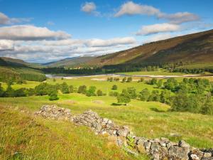 a green field with a stone wall on a hill at Glentairre Cottage - Swww in Balnaboth