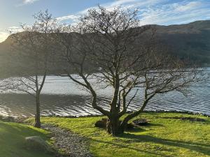 two trees on a hill next to a body of water at Tigh-Na-Creige in Feorlean