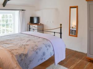 a bedroom with a bed and a mirror and a window at Culvada in Treknow