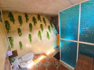 a bathroom with a shower with a toilet and a wall with plants at Hostal Bambu in San Agustín +74 photos