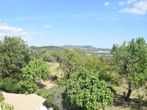 an overhead view of a field with trees at Delightful, authentic Quinta with pool in Loulé