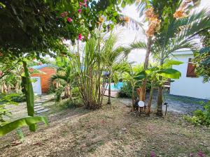 a garden with palm trees and a house at Gites kaz à klemence - Bungalow karapat - jacuzzi privé et piscine partagée au cœur de la nature à Anse-Bertrand in Anse-Bertrand