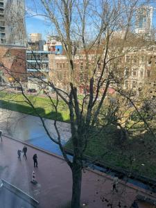 two people walking on a sidewalk next to a tree at Westersingel 24-2 in Rotterdam