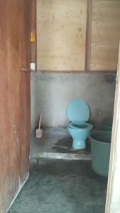 a bathroom with a blue toilet in a stall at Adefiro homestay in Waisai