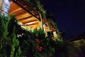 Vrt pred nastanitvijo Ilion Hotel