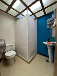 a bathroom with a shower and a toilet and a sink at Alojamiento Artemisa in Mexico City