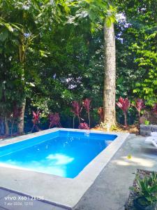 a blue swimming pool in a yard with trees at Cabaña Kono Rainbow Finca paraíso in Jiménez