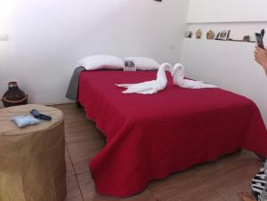 two white swans sitting on a red bed at Cabaña Kono Rainbow Finca paraíso in Jiménez