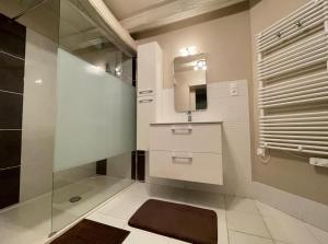 a bathroom with a shower and a sink and a mirror at Chambre argoitzia in Saint-Martin-dʼArberoue +15 photos
