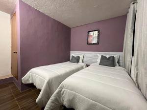 two beds in a room with purple walls at Alojamiento Artemisa in Mexico City