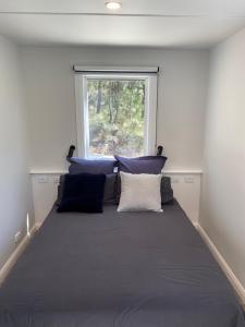 a bed with blue pillows in a room with a window at The Barn Top Noojee in Noojee