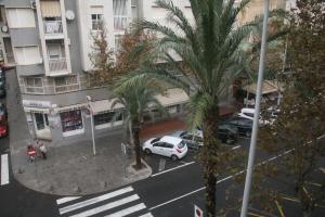 an aerial view of a street with palm trees and a white car at Hostal El Altet in El Alted