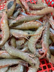 a pile of shrimp in a red basket at Khách Sạn Long Dung in Nam Khê