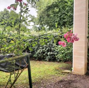 a bush with pink flowers next to a building at Chambre privée - Près de Bordeaux in Villenave-dʼOrnon