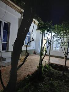 a group of trees in front of a building at Uyut house in Samarkand +8 photos
