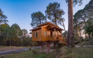 a tree house in the middle of a tree at Forest Rest House Satobari in Dharamshala