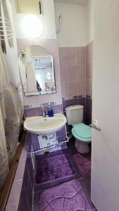 a bathroom with a sink and a toilet at Casa MARI-SOR in Vulcan