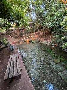 a wooden bench sitting next to a river at Guesthouse Anestis in Angistron +6 photos