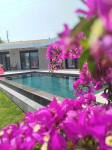 a swimming pool with purple flowers in the foreground at Villa Danai in Gouvia