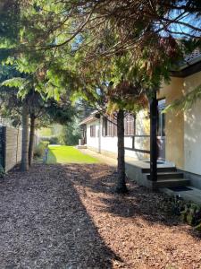 a house with trees in front of a driveway at Sóstó Liget House in Igricetanya