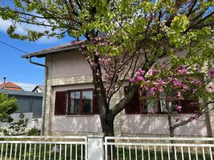 a house with a white fence in front of a tree at Laganini Cozy Home in Velika Mlaka +17 photos