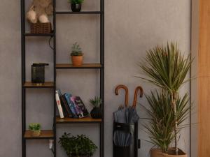 a room with shelves with potted plants on them at ibis Chateauroux in Châteauroux