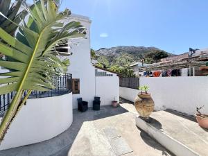 a courtyard of a house with a plant at La Casa al Mare Vulcano in Vulcano