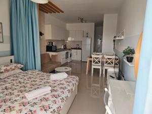 a living room and kitchen with a bed and a dining room at Caesar Resort Lux Studio Apt in Trikomo