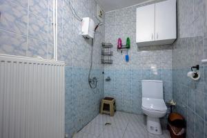 a blue tiled bathroom with a toilet and a shower at Ipek Esintisi House in Nevşehir +29 photos