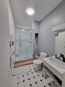 a bathroom with a shower and a toilet and a sink at Chambre double Le Lion d'Or in Nérondes