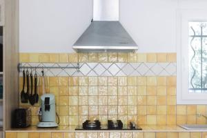 a kitchen with a counter with a stove and a hood at Résidence Canava in Bonifacio