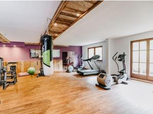 a gym with exercise equipment and a punching bag at Stelo Appartments in Gosau