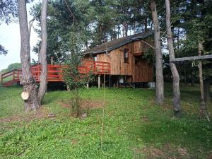 a wooden cabin in the middle of a forest at ZegZug apartman in Pankasz