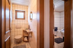 a bathroom with a toilet and a sink at Sophie's Haus in Fügen +19 photos