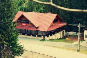a house with a red roof on the side of a road at Vila Vanesa in Arieşeni