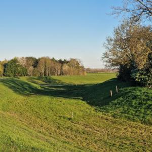 a shadow of a tree in a field at B&B Chez Paz in Neer +8 photos