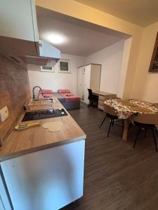 a room with a kitchen and a living room at Ela in Žusterna +10 photos