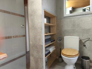a bathroom with a toilet and a mirror at NEUBEGINN b in Bad Rodach +9 photos