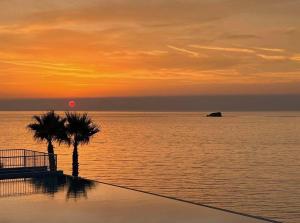 a palm tree in front of the ocean at sunset at Birds Bay Resort in Petra